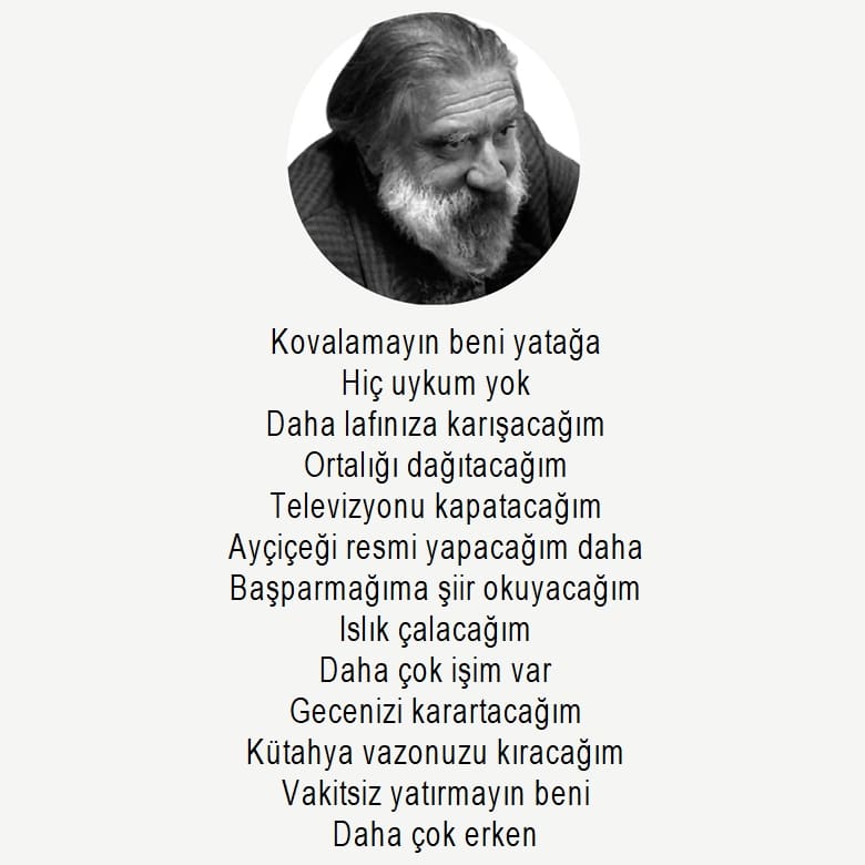 Can Yücel şiirleri