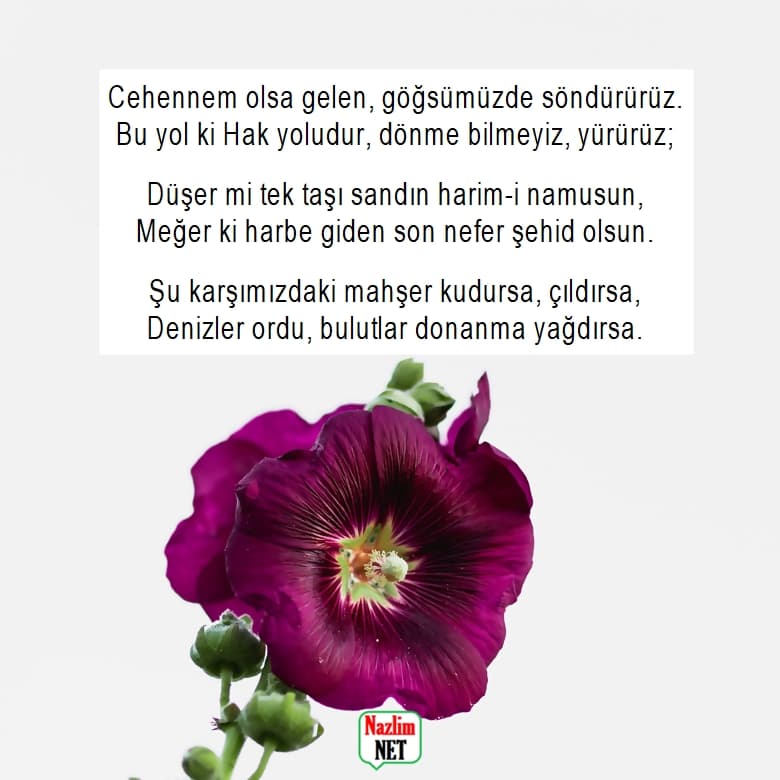 Mehmet Akif Ersoy şiirleri