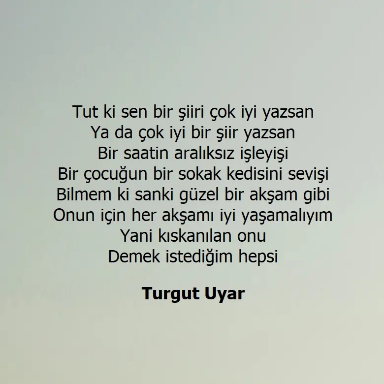 Turgut Uyar tut ki ben şiiri