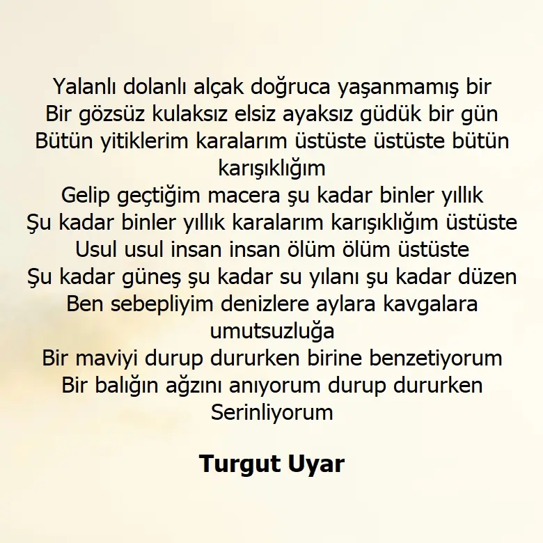 Turgut Uyar Denize Gidip Dönen Mavilerin Bire İndirgenen Üçlüğü şiiri