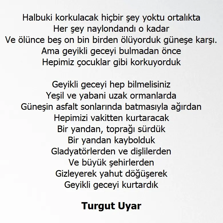 Turgut Uyar geyikli gece şiiri