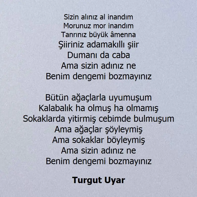 Turgut Uyar Tel Cambazının Tel Üstündeki Durumunu Anlatır Şiir