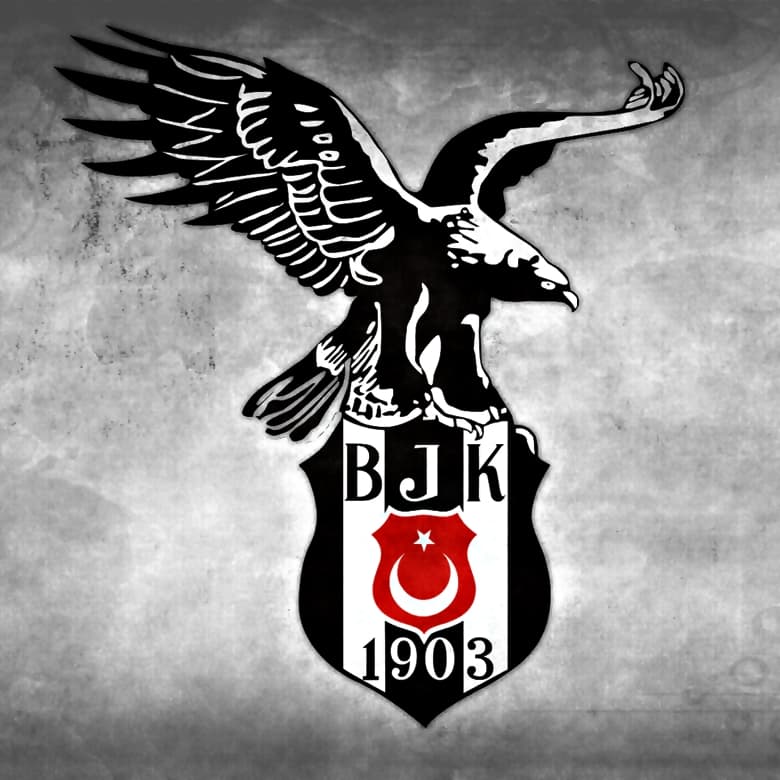 Beşiktaş Kartal resmi