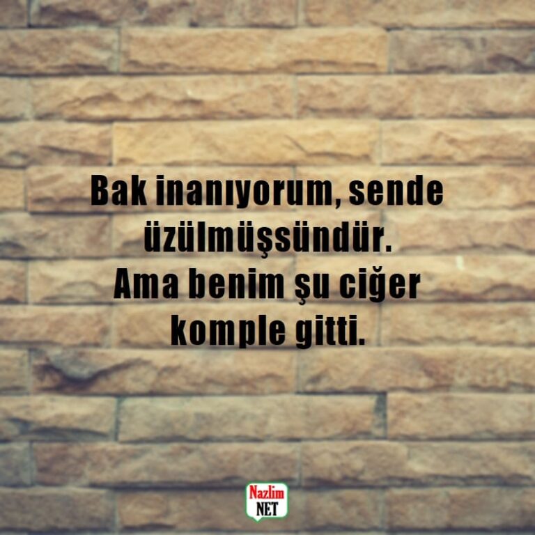 Duvar Yazıları Duyulmamış ve Anlamlı Duvar Yazıları Duvar Yazıları Duyulmamış ve Anlamlı Duvar Yazıları