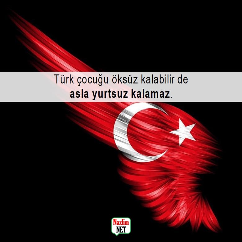 Türkçü sözleri