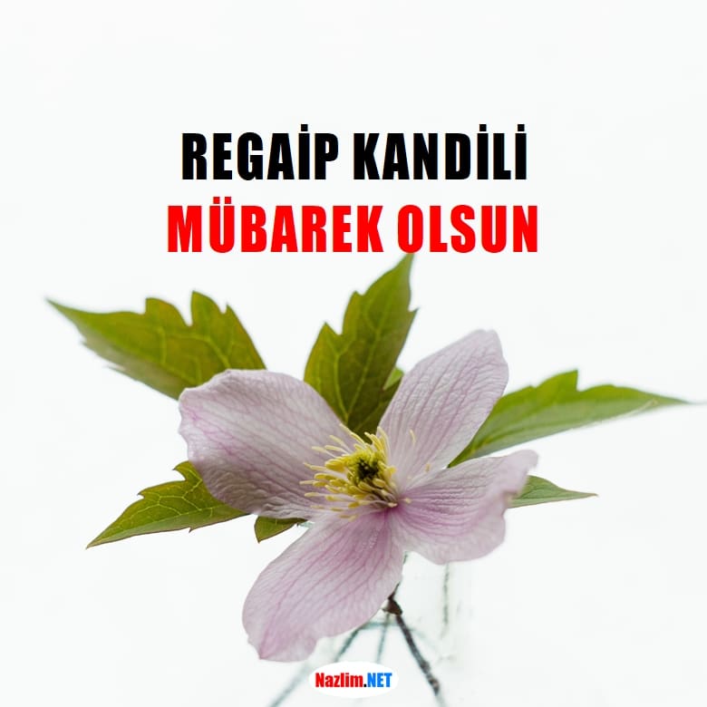 Regaip Kandili Mesajları