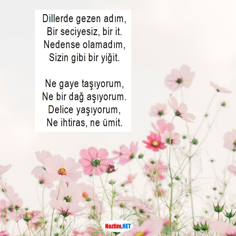 Sabahattin Ali iirleri En G zel Ve K sa 16 iiri Sabahattin Ali iirleri En G zel Ve K sa 16 iiri