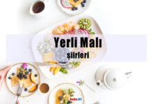 Yerli Malı şiirleri