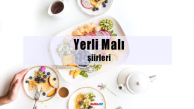 Yerli Malı şiirleri