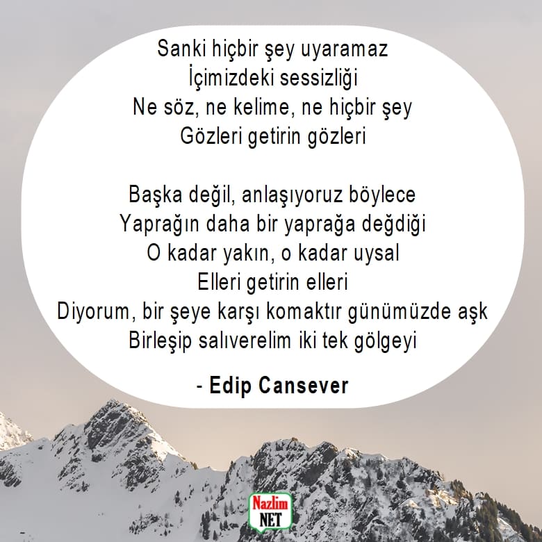 Edip Cansever şiirleri 4