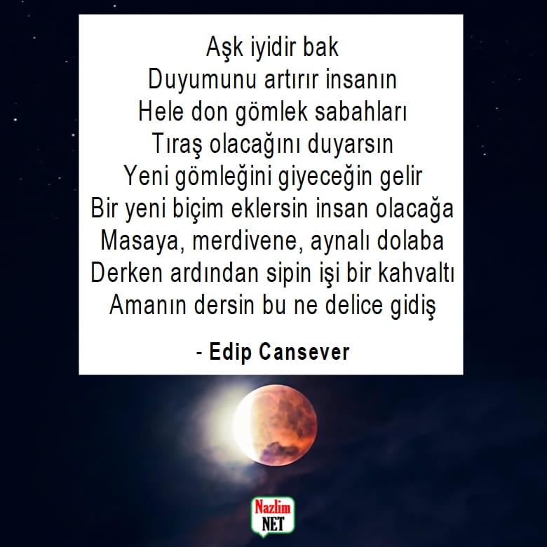 Edip Cansever şiirleri 8