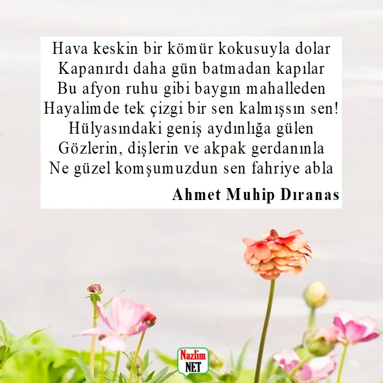 Ahmet Muhip Dıranas şiirleri