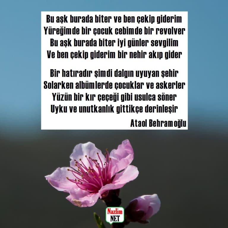 Ataol Behramoğlu şiirleri