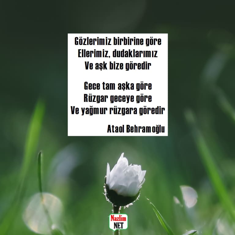 Ataol Behramoğlu şiirleri