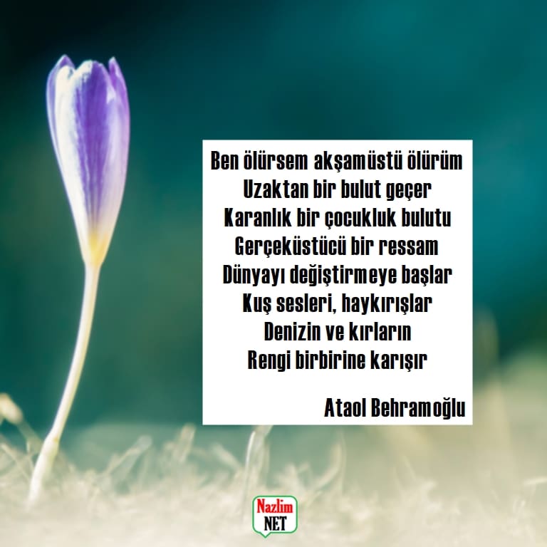 Ataol Behramoğlu şiirleri