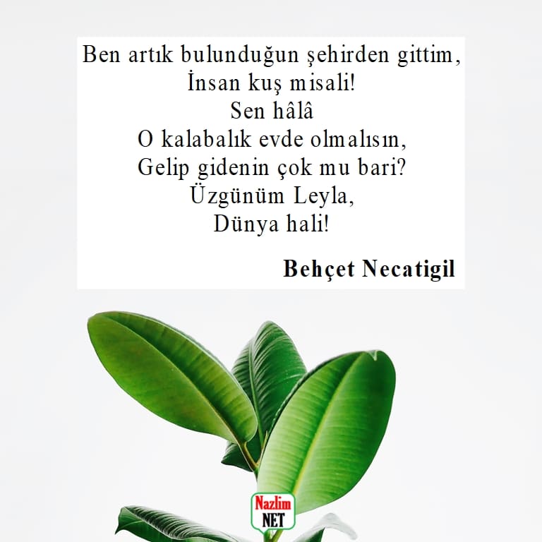 Behçet Necatigil şiirleri