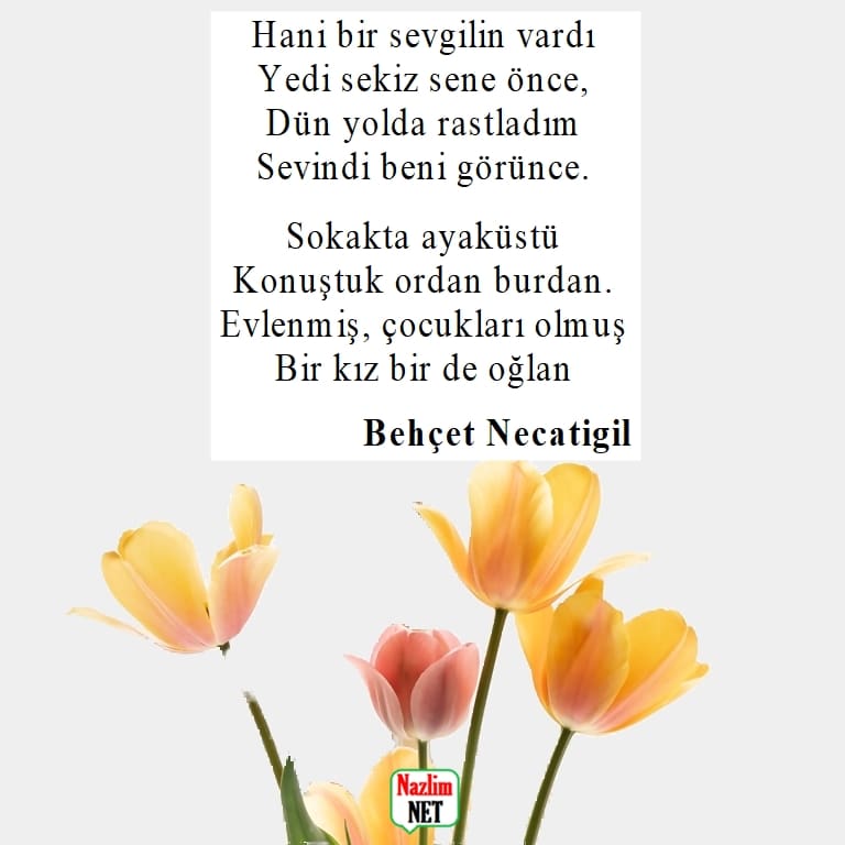 Behçet Necatigil şiirleri