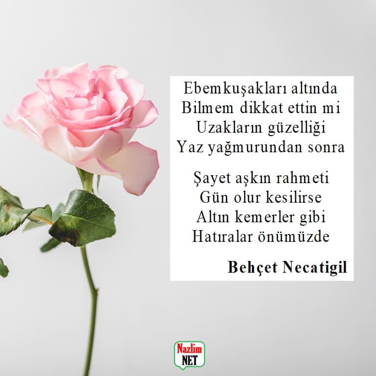 Behçet Necatigil şiirleri