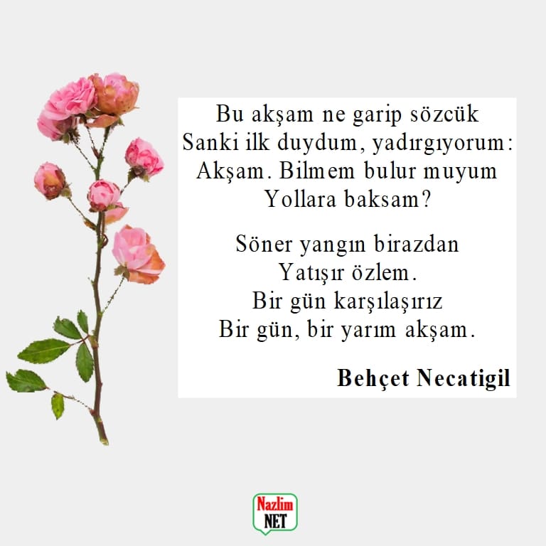 Behçet Necatigil şiirleri