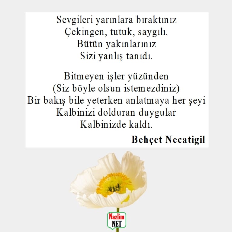 Behçet Necatigil şiirleri