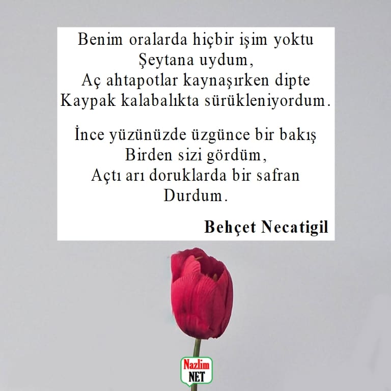 Behçet Necatigil şiirleri