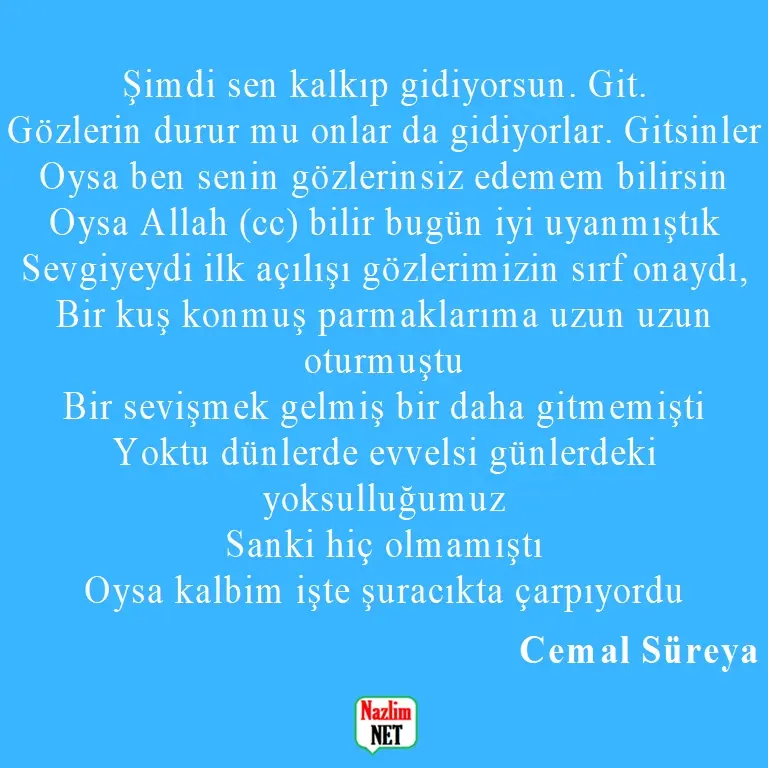 1. Cemal Süreya şiirleri