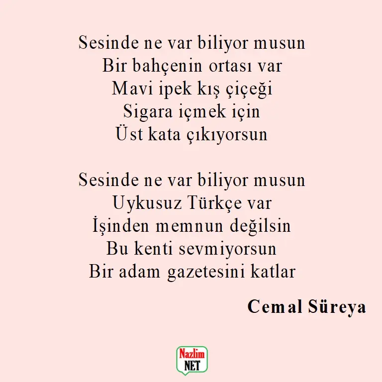 10. Cemal Süreya şiirleri