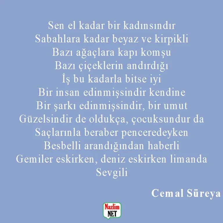 11. Cemal Süreya şiirleri