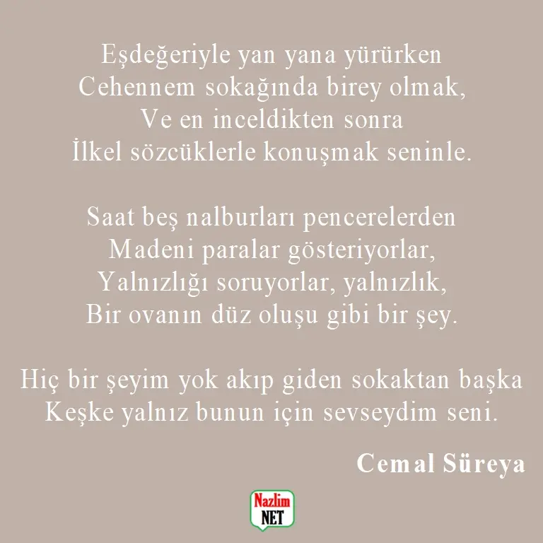 12. Cemal Süreya şiirleri