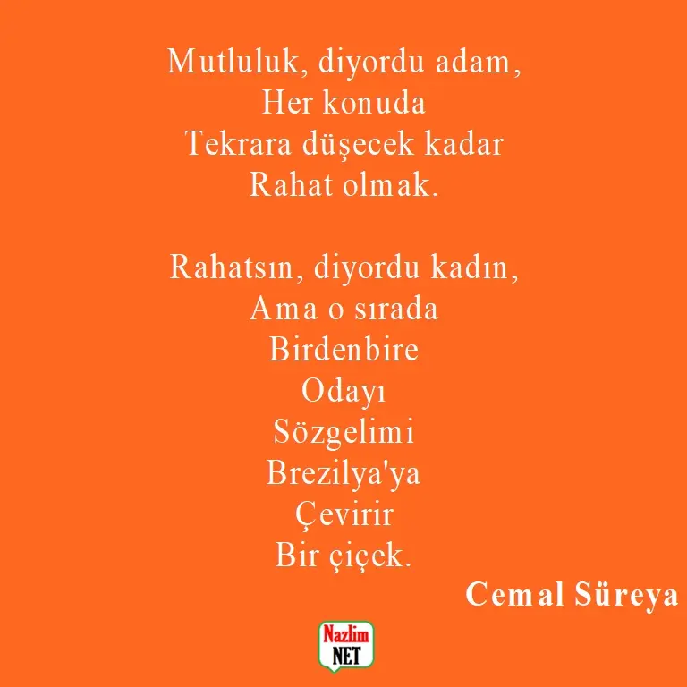 13. Cemal Süreya şiirleri