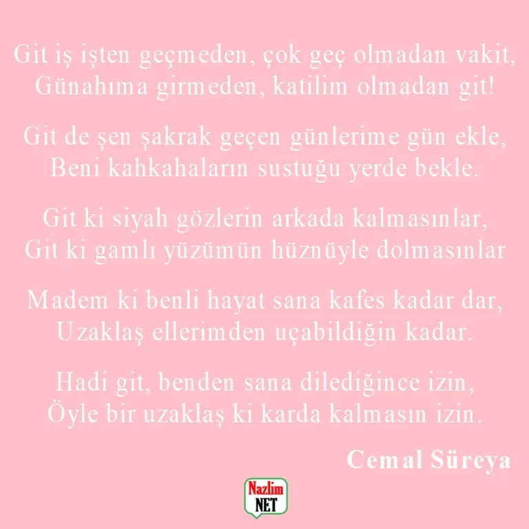 14. Cemal Süreya şiirleri