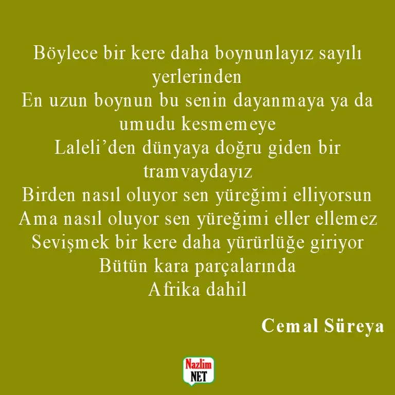 16. Cemal Süreya şiirleri