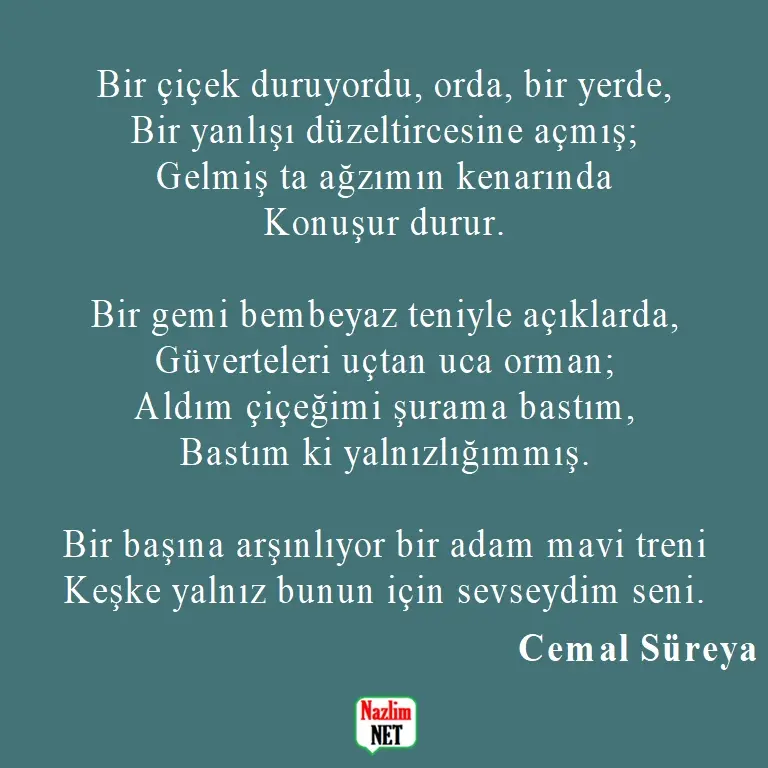 3. Cemal Süreya şiirleri