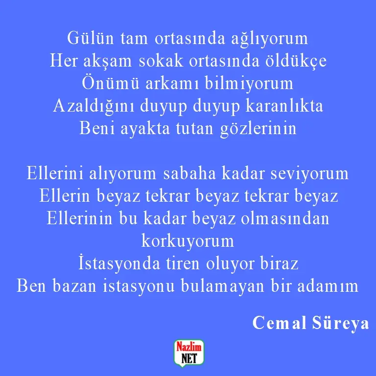 5. Cemal Süreya şiirleri