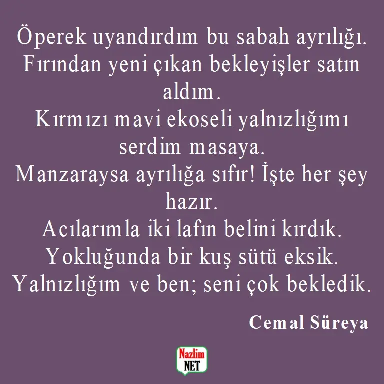 6. Cemal Süreya şiirleri