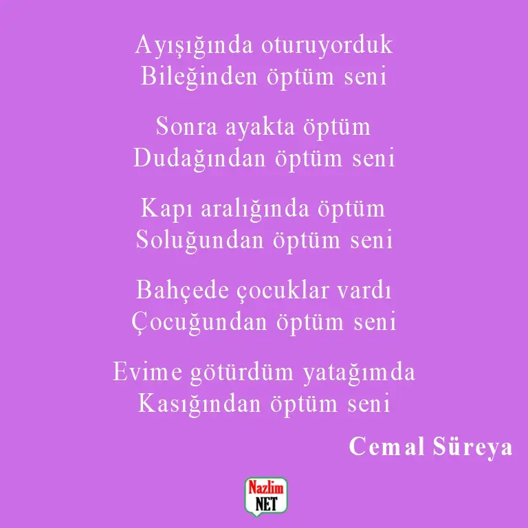 7. Cemal Süreya şiirleri