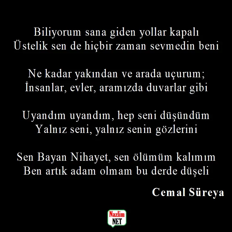 8. Cemal Süreya şiirleri