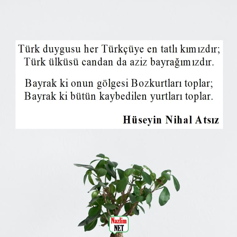 Hüseyin Nihal Atsız şiirleri