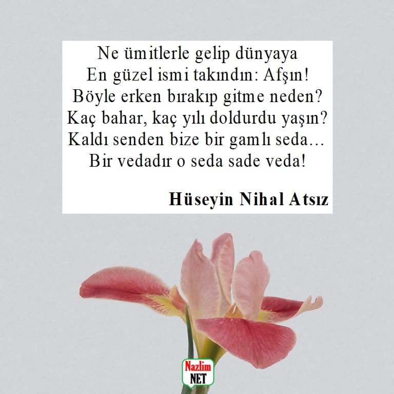 Hüseyin Nihal Atsız şiirleri