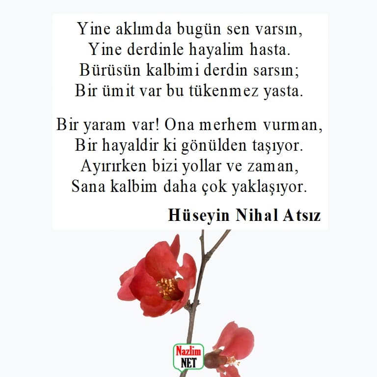 Hüseyin Nihal Atsız şiirleri