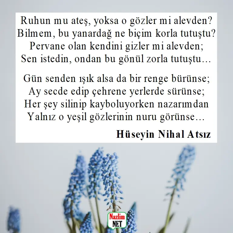 Hüseyin Nihal Atsız şiirleri