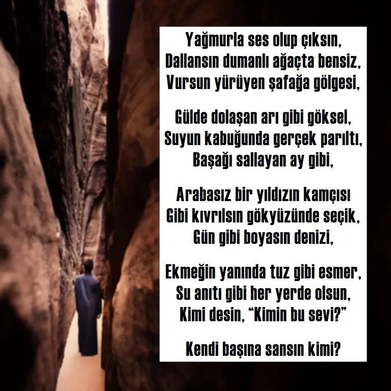 11. Melih Cevdet Anday şiirleri