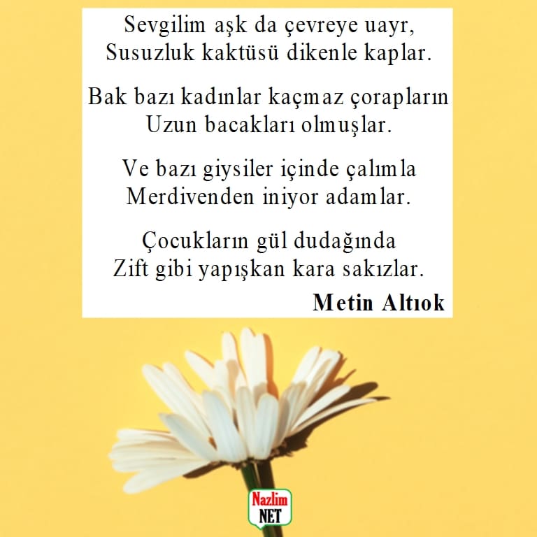 Metin Altıok şiirleri