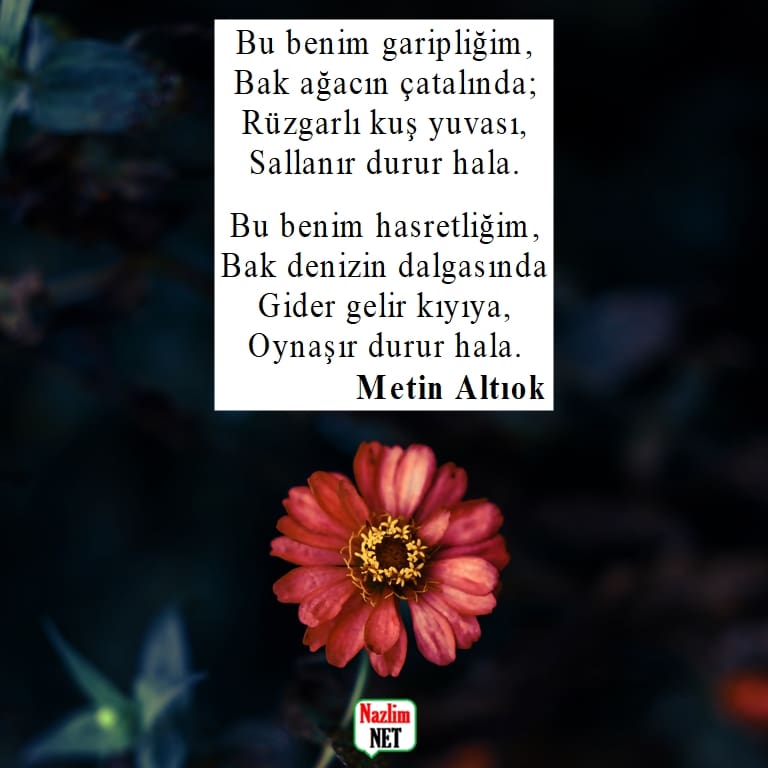 Metin Altıok şiirleri