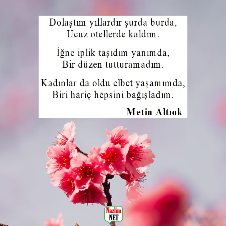 Metin Altıok şiirleri