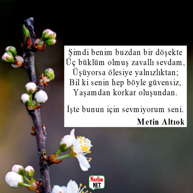 Metin Altıok şiirleri