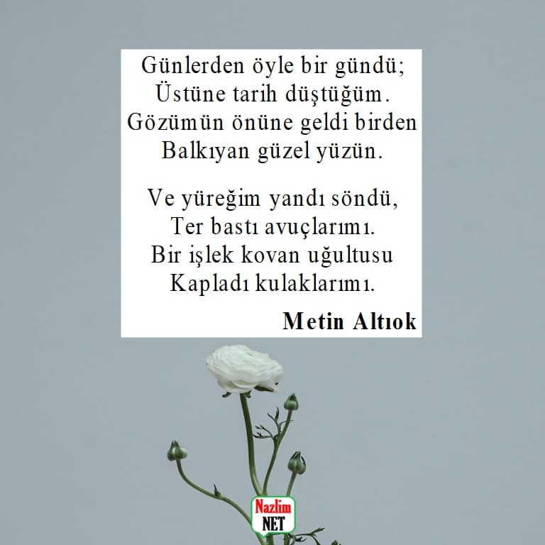 Metin Altıok şiirleri