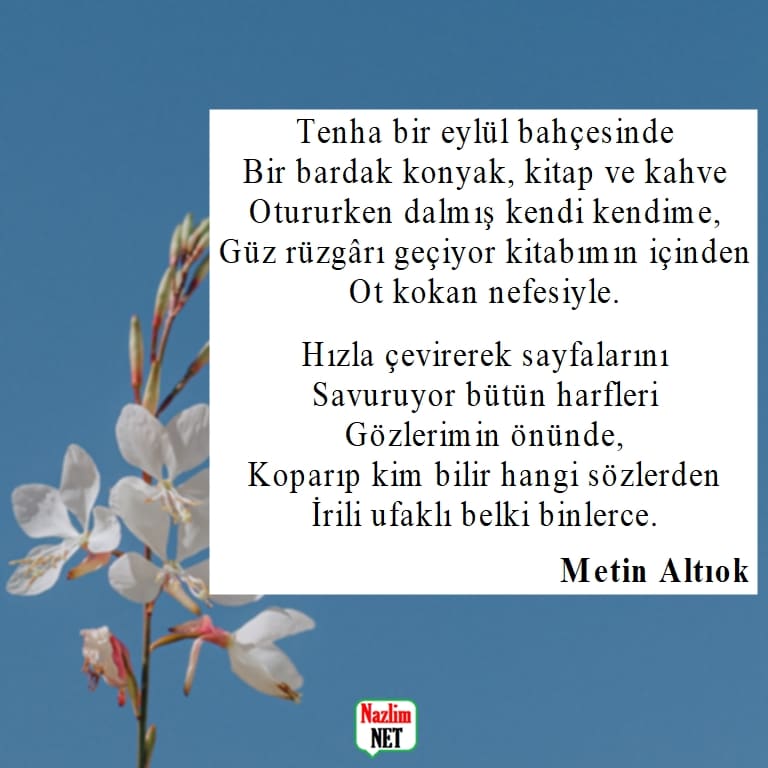 Metin Altıok şiirleri