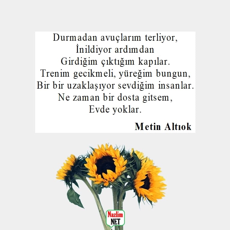 Metin Altıok şiirleri