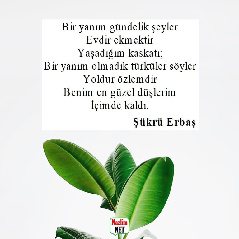 Şükrü Erbaş şiirleri